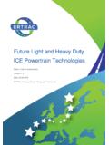 Future Light and Heavy Duty ICE Powertrain Technologies