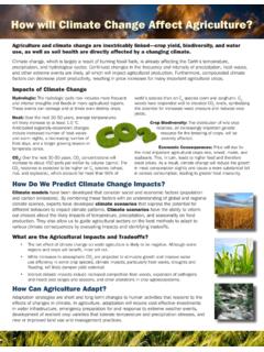 How will Climate Change Affect Agriculture?