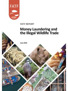 FATF REPORT Money Laundering and the Illegal Wildlife …