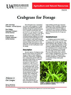 Crabgrass for Forage - FSA3138