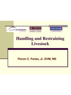 Handling and Restraining Livestock - Texas A&amp;M University