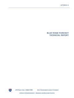 BLUE RIDGE PARKWAY TECHNICAL REPORT