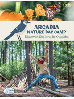 Arcadia Wildlife Sanctuary NATURE DAY CAMP - Mass Audubon