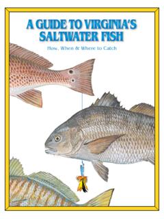 How, When &amp; Where to Catch - mrc.virginia.gov