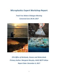 Microplastics Expert Workshop Report - epa.gov