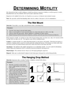 Motility Handout with my graphics - 2010