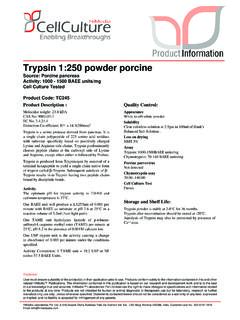 Trypsin 1:250 powder porcine - HiMedia Labs