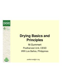 Drying Basics and Principles
