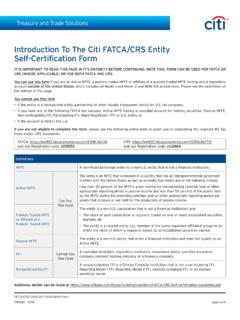 Introduction To The Citi FATCA/CRS Entity Self ...