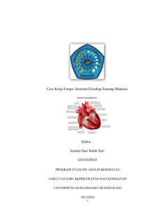 Cara Kerja Fungsi Anatomi Fisiologi Jantung Manusia