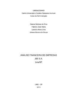 AN&#193;LISE FINANCEIRA DE EMPRESAS JBS S.A. Lins/SP