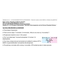 GLYCOLYSIS REVIEW &amp; OVERVIEW - Department of …