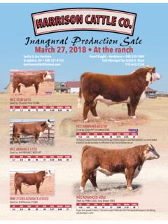 Inaugural Production Sale - Harrison Cattle Company