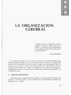 LA ORGANIZACI&#211;N CEREBRAL - bdigital.unal.edu.co