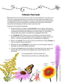 Pollinator Plant Guide - Toronto Zoo