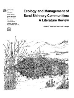 Ecology and management of sand shinnery communities: a ...