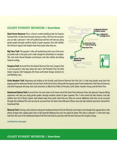 GIANT FOREST MUSEUM // Green Route - Sequoia Shuttle