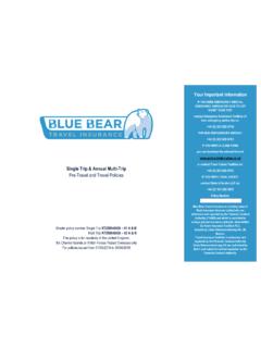 Pre-Travel and Travel Policies - Blue Bear travel insurance
