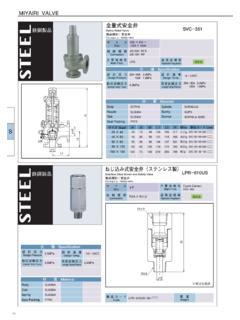 MIYAIRI VALVE 全量式安全弁 鉄鋼製品 SVC－351