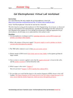 Gel Electrophoresis Virtual Lab Worksheet - TeachEngineering