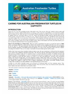 CARING FOR AUSTRALIAN FRESHWATER TURTLES IN …