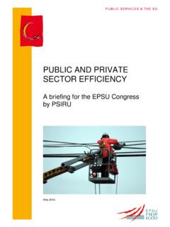 PUBLIC AND PRIVATE SECTOR EFFICIENCY - PSIRU