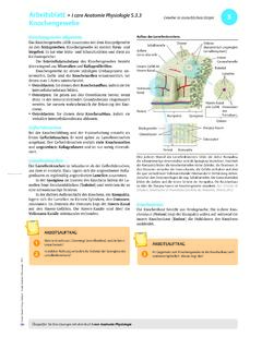 Arbeitsblatt • I care Anatomie Physiologie 5.3.3 5 ...
