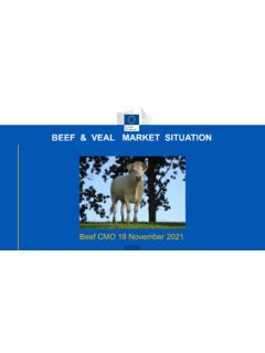 BEEF &amp; VEAL MARKET SITUATION - European Commission