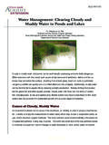 Water Management: Clearing Cloudy and Muddy Water in …