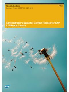 Administrator s Guide for Central Finance for SAP …