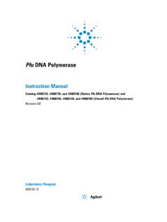 Pfu DNA Polymerase - Agilent