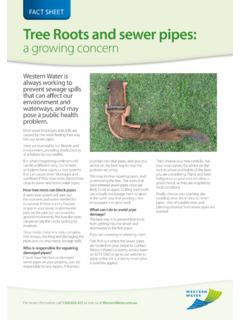 Tree Roots and sewer pipes: a growing concern - Western …