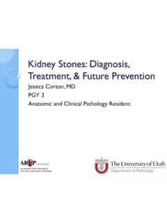 Kidney Stones: Diagnosis, Treatment, &amp; Future Prevention