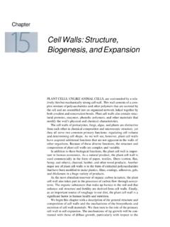 Cell Walls: Structure, Biogenesis, and Expansion