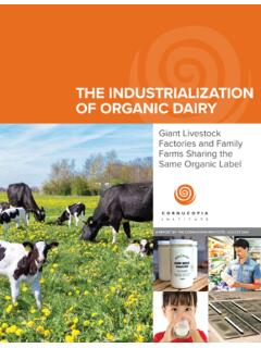 THE INDUSTRIALIZATION OF ORGANIC DAIRY