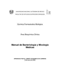 Manual de Bacteriolog&#237;a y Micolog&#237;a M&#233;dicas - UNAM