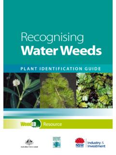 PLANT IDENTIFICATION GUIDE - Department of Primary …