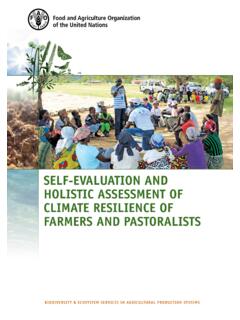 Self-evaluation and Holistic Assessment of Climate ...