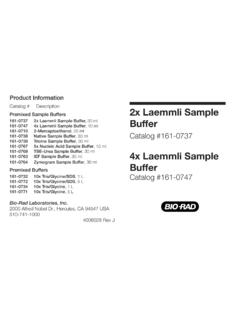 Product Information 2x Laemmli Sample 2x Laemmli Sample ...