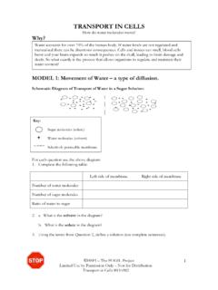 Why? MODEL 1: Movement of Water – a type of diffusion.
