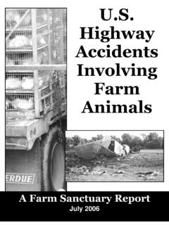 U.S. Highway Accidents Involving Farm Animals