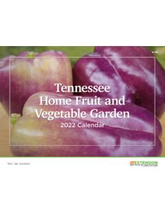 Tennessee Home Fruit and Vegetable Garden