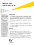 Example audit committee charter - EY - United States