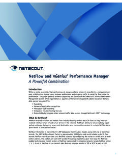 NetFlow and nGenius Performance Manager A Powerful …