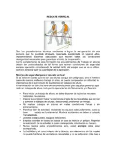 MANUAL RESCATE VERTICAL - Syslaboral