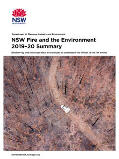 NSW Fire and the Environment 2019-20: Summary