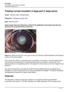 Treating corneal ulceration in dogs part 2: deep ulcers