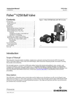 Fisher V250 Ball Valve