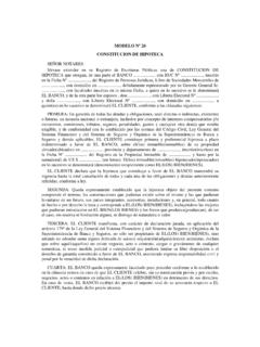 MODELO N&#186; 26 CONSTITUCION DE HIPOTECA