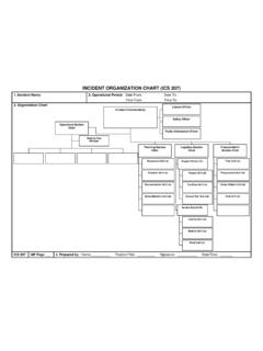 INCIDENT ORGANIZATION CHART (ICS 207)